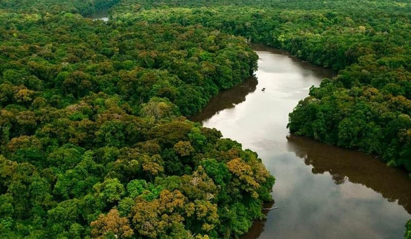 Notícias sobre queimadas fazem turista cancelar hospedagem em hotéis da Amazônia
