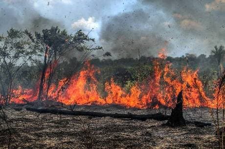 Amazônia: EUA dizem não concordar com ajuda do G7 para incêndios e fala que forma mais construtiva é "coordenação com o governo brasileiro"