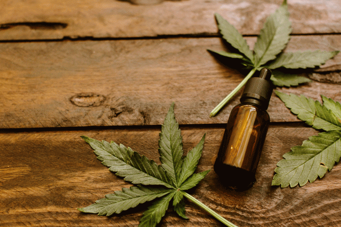 Senado aprova e uso de maconha medicinal vira projeto de lei