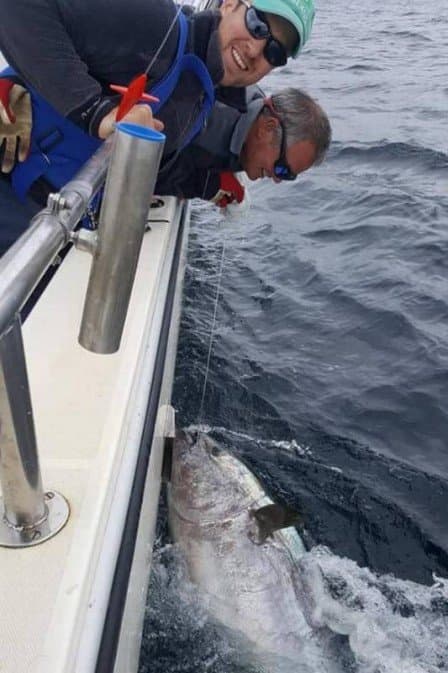 FOTO: Pescadores fisgam atum azul de R$ 14 milhões, mas o devolvem ao mar