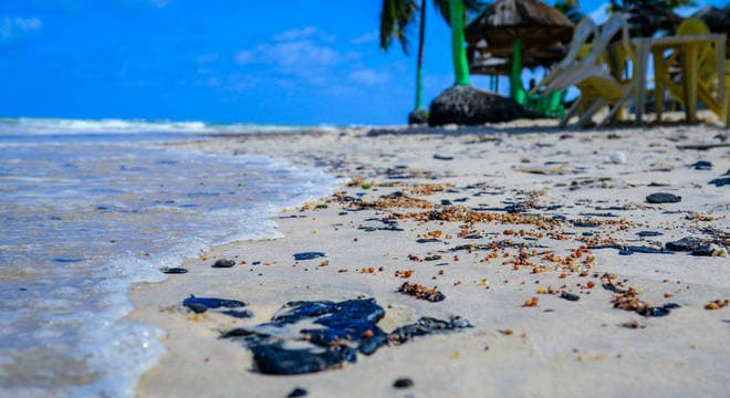 Correntes marítimas que atuam na costa do Nordeste brasileiro devem continuar trazendo o óleo para o litoral potiguar, informa Emparn