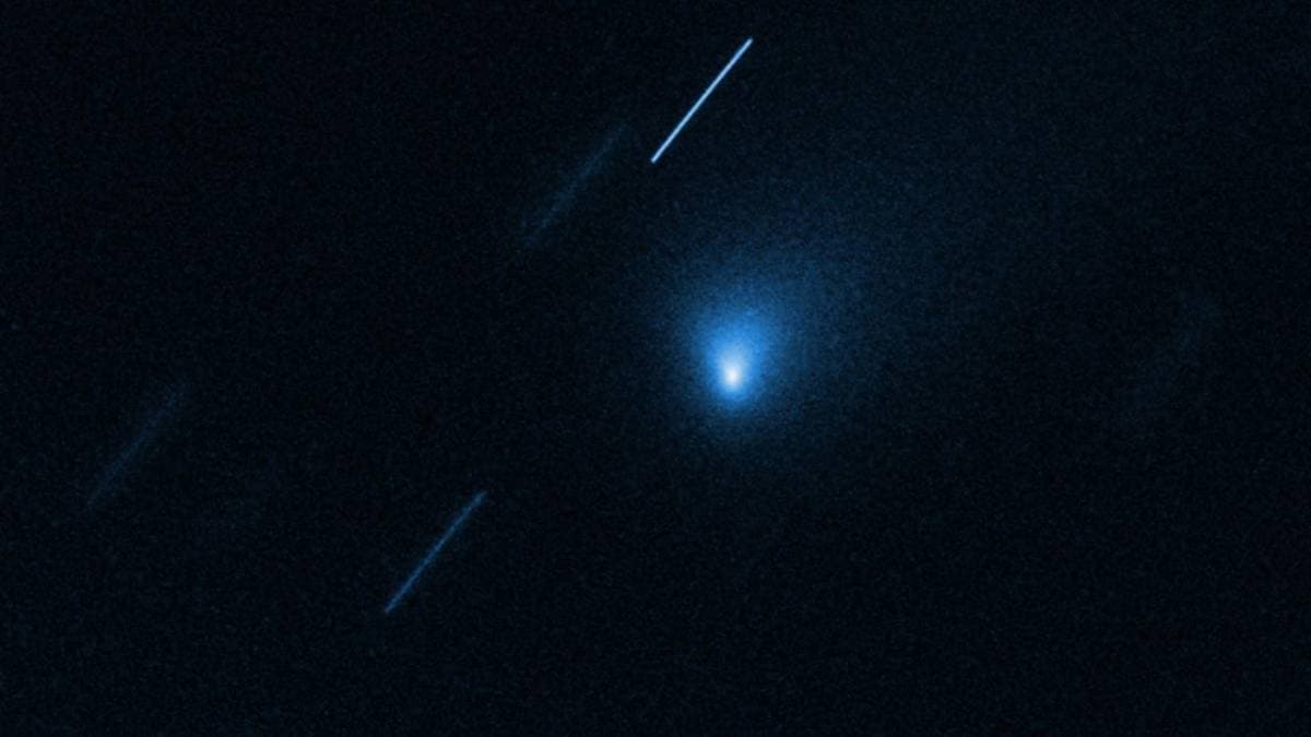 Cometa 14 vezes maior que a Terra entra no Sistema Solar