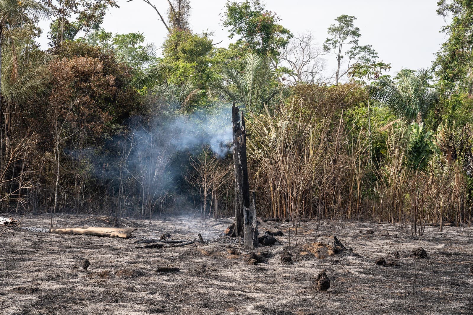 Amazônia tem outubro com o menor número de queimadas da história, desde o início do monitoramento em 1998