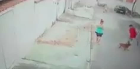 VÍDEO: Homem salva menino de 5 anos de ataque incensante de pitbull no Rio de Janeiro