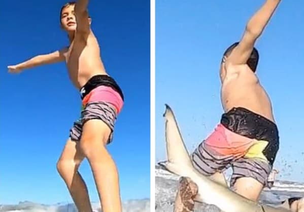 VÍDEO: Tubarão derruba da prancha menino de 9 anos que surfava na Flórida