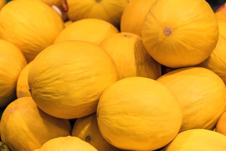 Após visita ao RN, China autoriza importação de melão do Brasil, informa Ministério da Agricultura