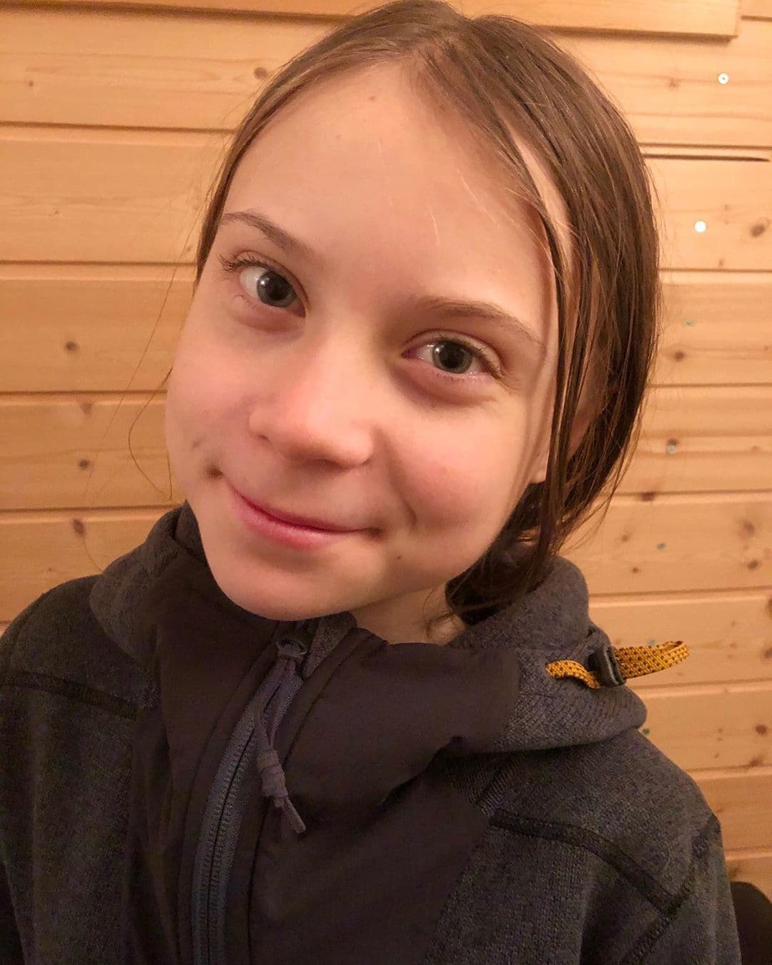 Greta Thunberg comemora seus 17 anos com protesto de 7 horas no parlamento sueco