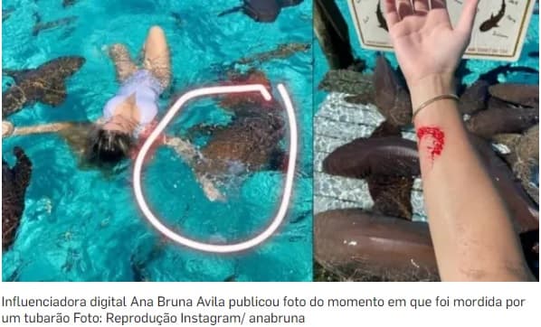 ‘Sim, tudo por uma foto', diz influenciadora digital após ser mordida por tubarão
