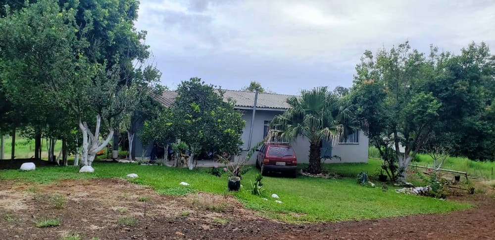 (BROTANDO) - FOTOS: Com petróleo no quintal, família no PR é obrigada a abandonar a pecuária e se apega à possibilidade de ficar rica