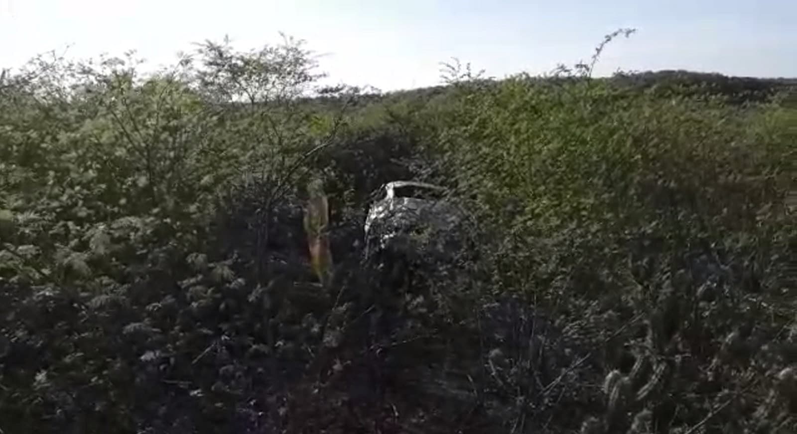 Um morre e dois ficam feridos após carro sair da pista e capotar na BR-226, destaca reportagem