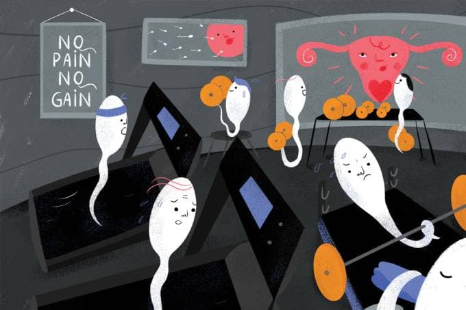 Atividade física melhora a qualidade do esperma, mostra estudo