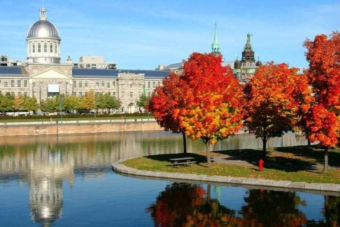 Québec, no Canadá, procura brasileiros para estudar em suas universidades; inscrições terminam nesta sexta