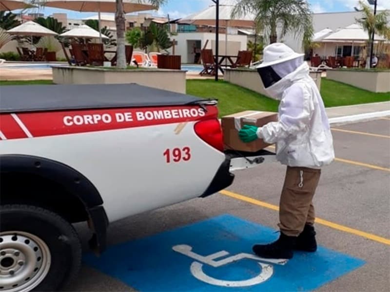 Bombeiros já atenderam 366 ocorrências de enxames de insetos na Grande Natal