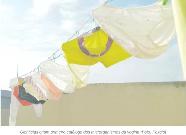 Cientistas criam primeiro "catálogo" de genes que compõem a flora vaginal