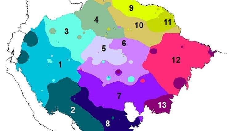 Galileu destaca estudo de biólogos da UFRN, publicado em revista britânica, que identifica 13 regiões distintas da flora amazônica