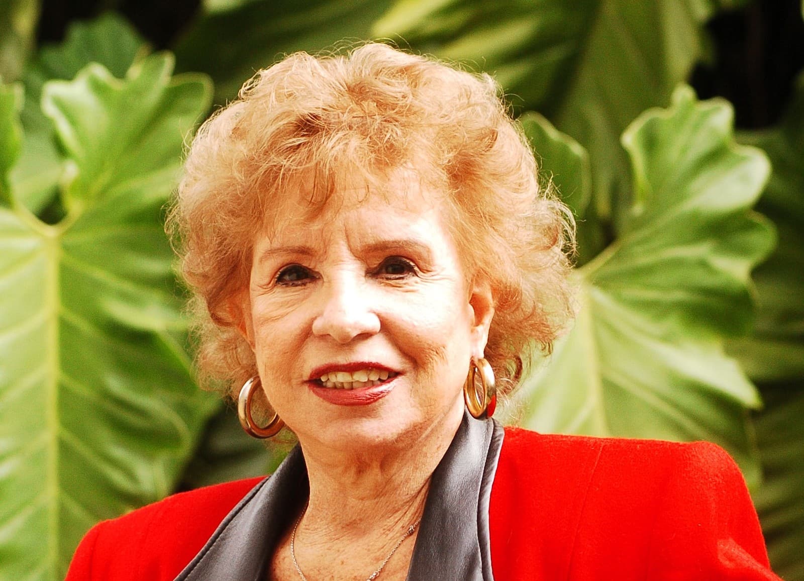 Atriz e radialista Daisy Lúcidi morre, aos 90 anos, de Covid-19 no Rio