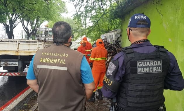 Operação da Guarda Municipal e Semurb apreende em Natal carga de madeira destinada a fogueiras
