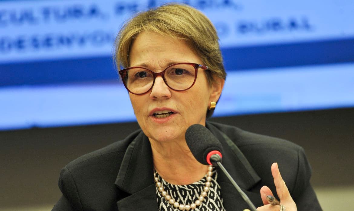 Força-tarefa ajudará na regularização fundiária da Amazônia Legal e visa atender propriedades de pequenos produtores rurais