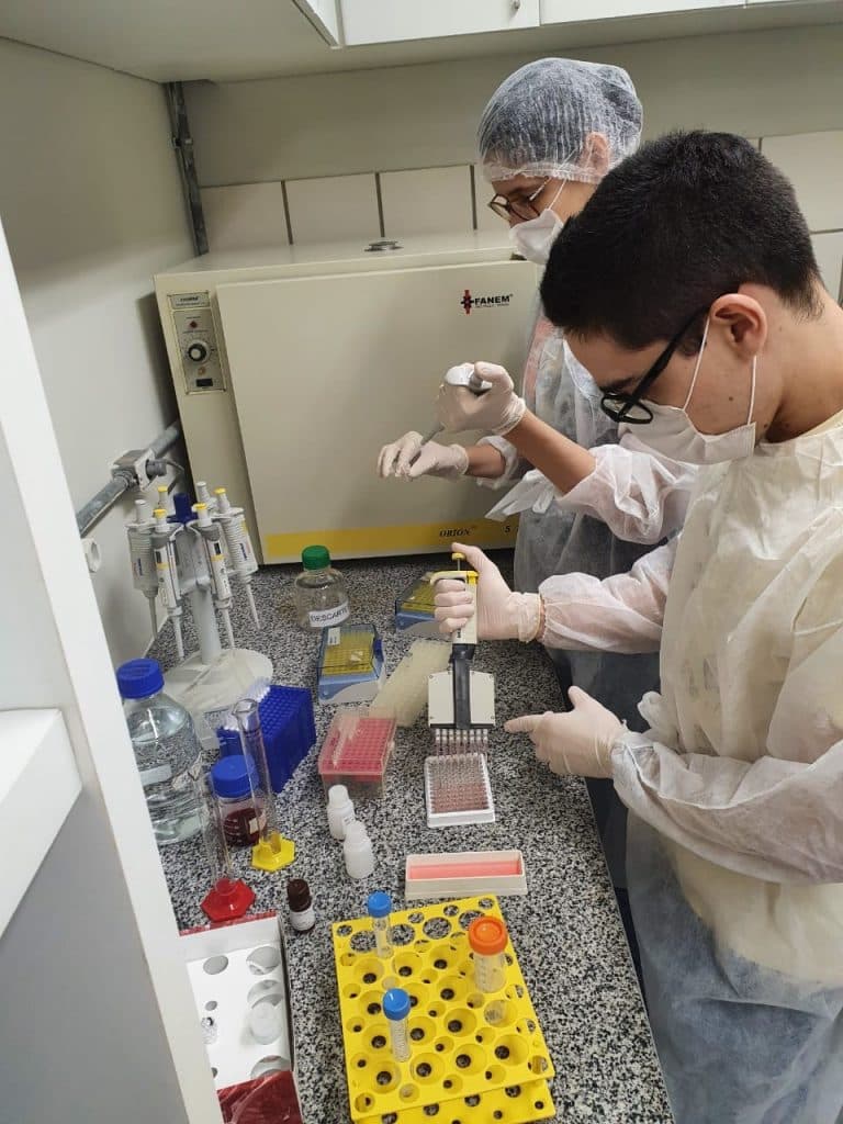 Descoberta científica da UFRN melhora eficácia para diagnóstico de doença renal