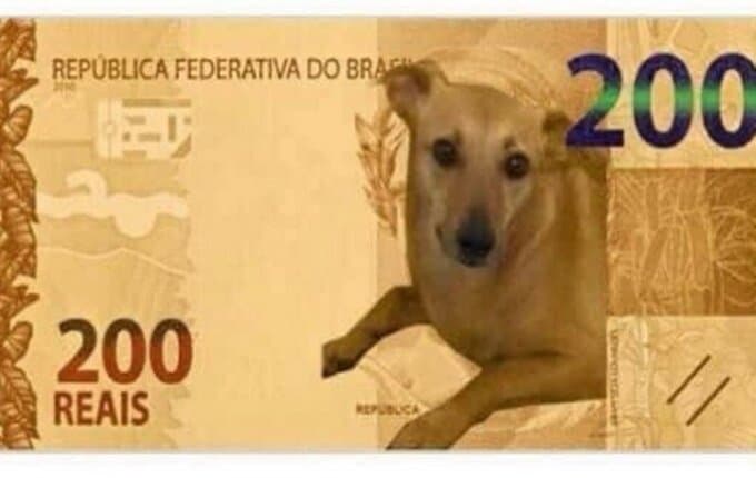 Após petição com mais de 50 mil assinaturas, Banco Central estuda colocar vira-lata caramelo na nota de R$ 200