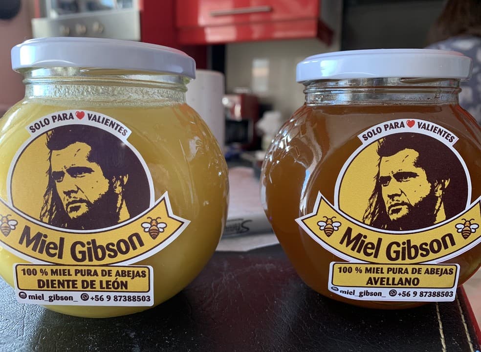 Vendedora de mel chilena dá nome de "Miel Gibson" a produto e é notificada por ator