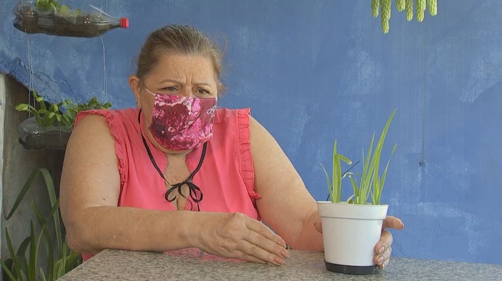 FOTOS: Mulher em SP diz que gata morreu após comer folha de ‘sementes misteriosas' que vieram da China