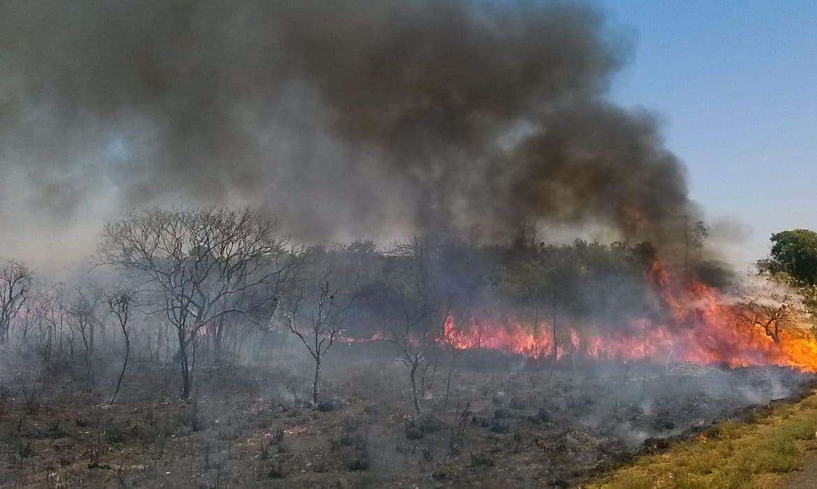 FOTO: Incêndio de grandes proporções atinge Parque de Ibitipoca, em Minas Gerais, na Zona da Mata