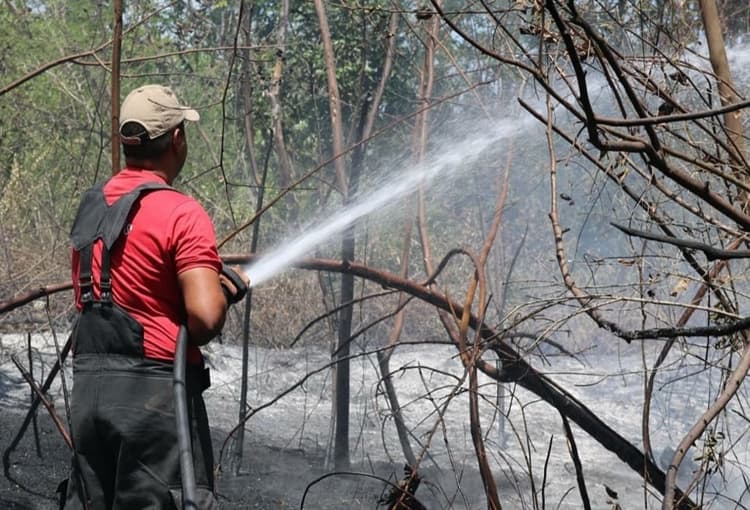 Bombeiros atenderam mais de 240 ocorrências de incêndio florestal no RN em agosto; Natal e região metropolitana lideram registros