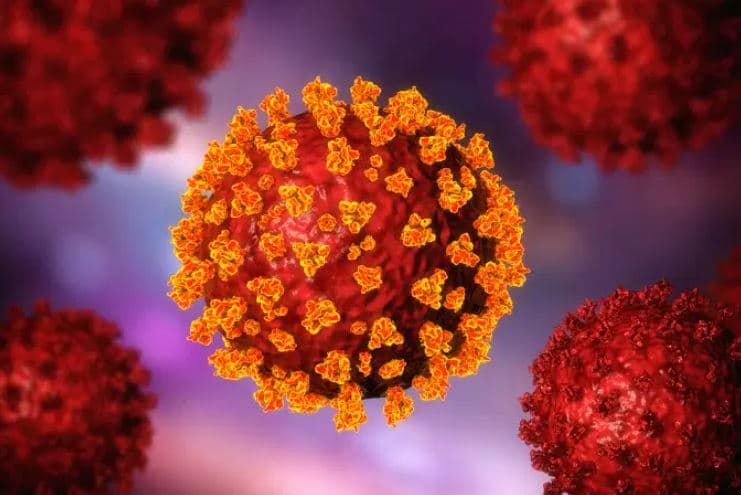 Cientistas encontram nanocorpo capaz de bloquear entrada do coronavírus nas células humanas