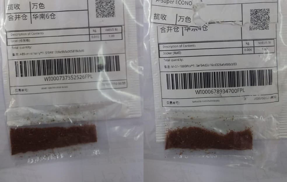 Sementes misteriosas da China chegam ao Amazonas, último estado a registrar casos