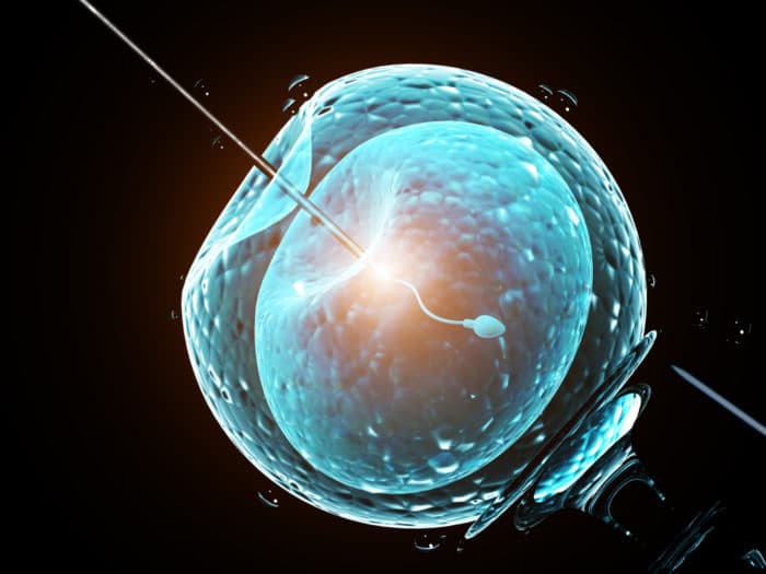Ginecologista usou próprio esperma em inseminações e tem ao menos 17 filhos