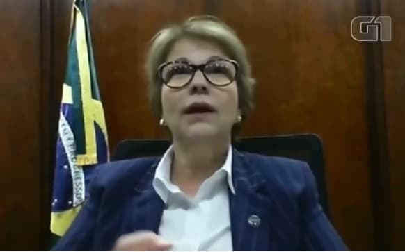 “Tínhamos muita matéria orgânica seca que, talvez, se nós tivéssemos um pouco mais de gado no Pantanal, isso teria sido um desastre até menor", diz ministra, sobre "boi bombeiro"
