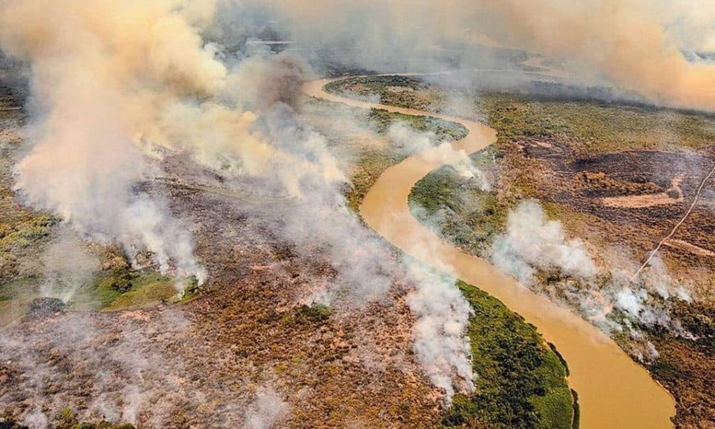 Helicóptero da Força Nacional que atuava no combate a queimadas cai no Pantanal de MT