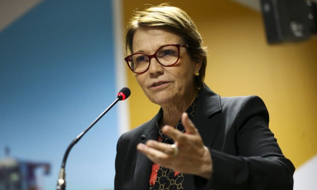 Ministra da Agricultura vai a Portugal defender o tratado Mercosul-União Europeia