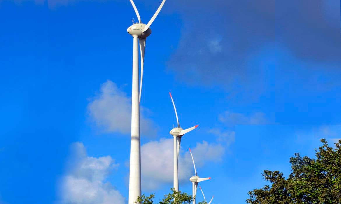 MEC quer ampliar oferta de cursos na área de energia renovável