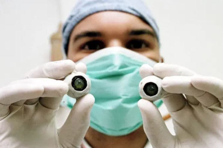 Primeiro transplante de córnea artificial do mundo restaura visão de homem cego