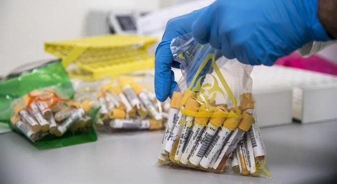 42 pessoas recebem tratamento com anticorpos em vez de vacina, por engano, nos EUA