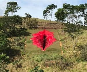 SEBRAE financiou obra de arte de "vagina" em Pernambuco