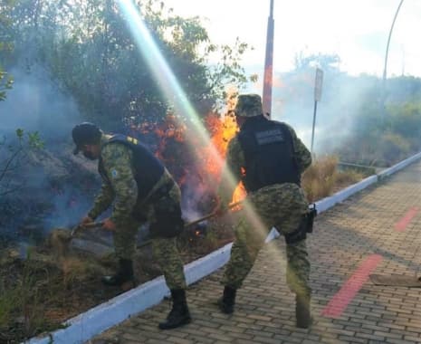 Guarda Municipal debela incêndio em área do Parque da Cidade do Natal
