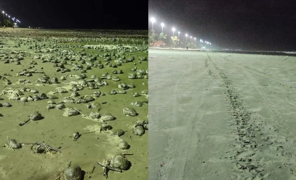 FOTOS: "Bolas" desaparecem em 24h após intrigarem moradores no litoral de SP; especialistas falam em possibilidades, enquanto redes sociais citam "ets"