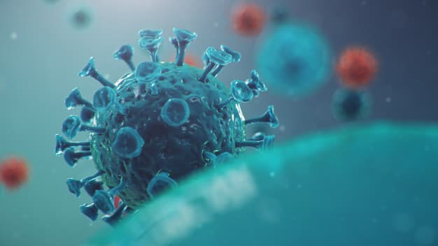 Forma leve de covid-19 pode não imunizar contra reinfecção, diz estudo
