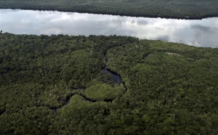 Estudo da ONU aponta que Brasil é líder na proteção de florestas