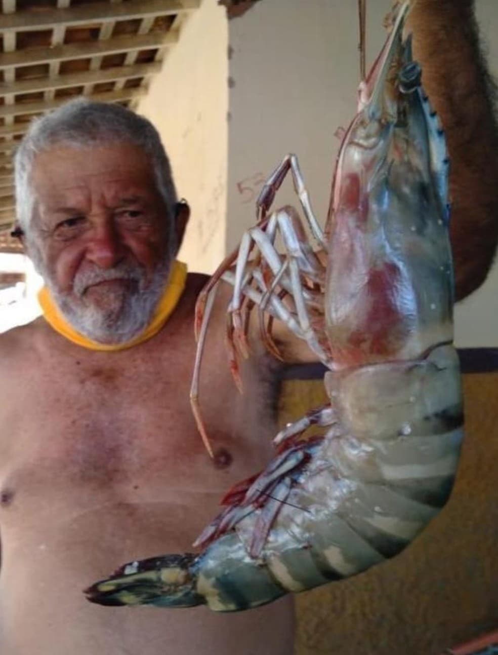 FOTOS: ‘Camarão gigante' com mais de 400g e cerca de 50 cm é capturado por pescador de Tibau