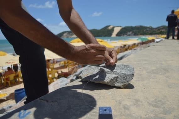 Natal inicia novo ciclo de desratização na orla; entenda a necessidade de colaboração da população