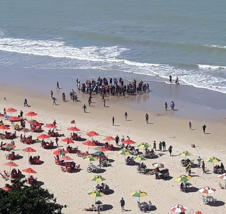 VÍDEO: Homem é socorrido após ser atacado por tubarão, em Pernambuco