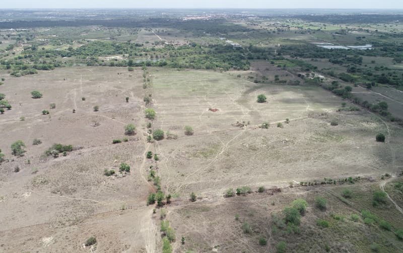 Programa do Idema de Reflorestamento da Caatinga e Mata Atlântica mira reflorestamento de área de 544 hectares de mata nativa no RN