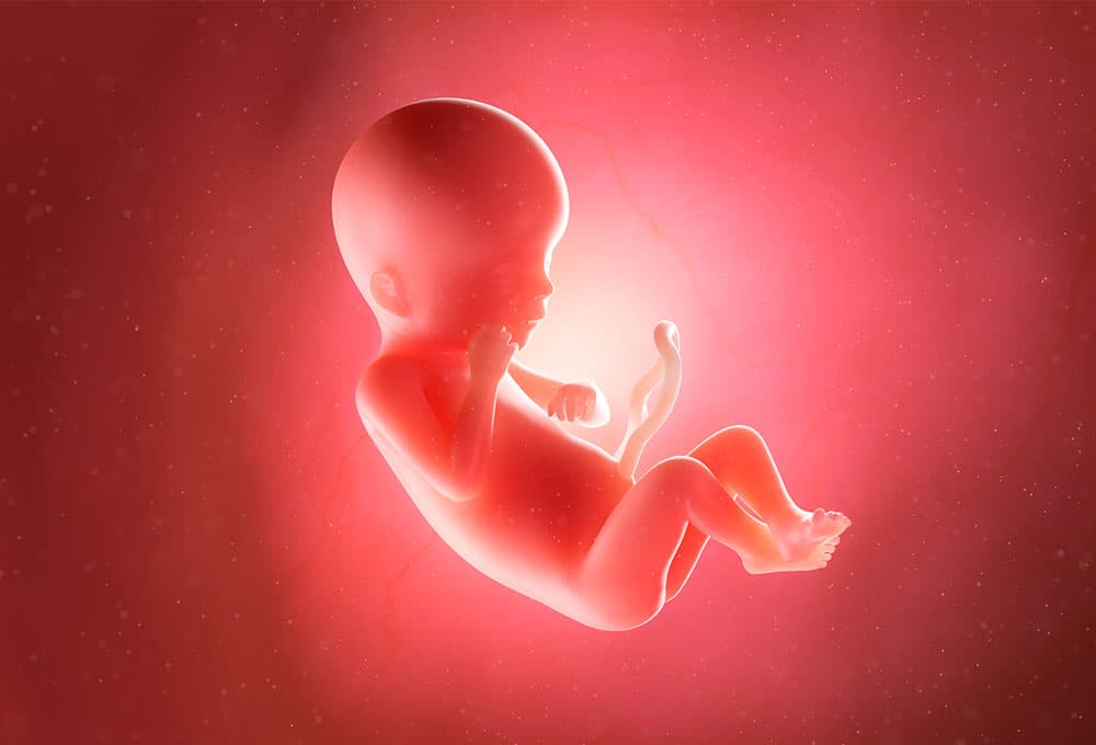 Homem que comercializava medicamento para fim abortivo é condenado em Natal