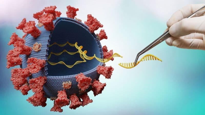 Reino Unido confirma dois casos da nova variante Ômicron; Alemanha e Holanda avaliam suspeitas
