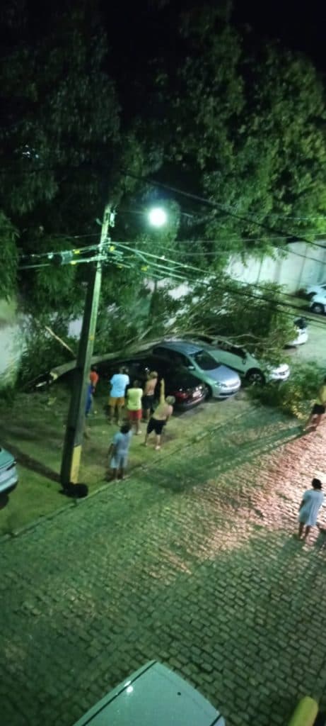[FOTOS] Árvore cai e provoca estrago em estacionamento de condomínio em Natal; pelo menos três carros foram atingidos