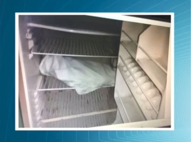 MACABRO: Mulher descongela geladeira e encontra corpo de bebê escondido em sacola há um ano